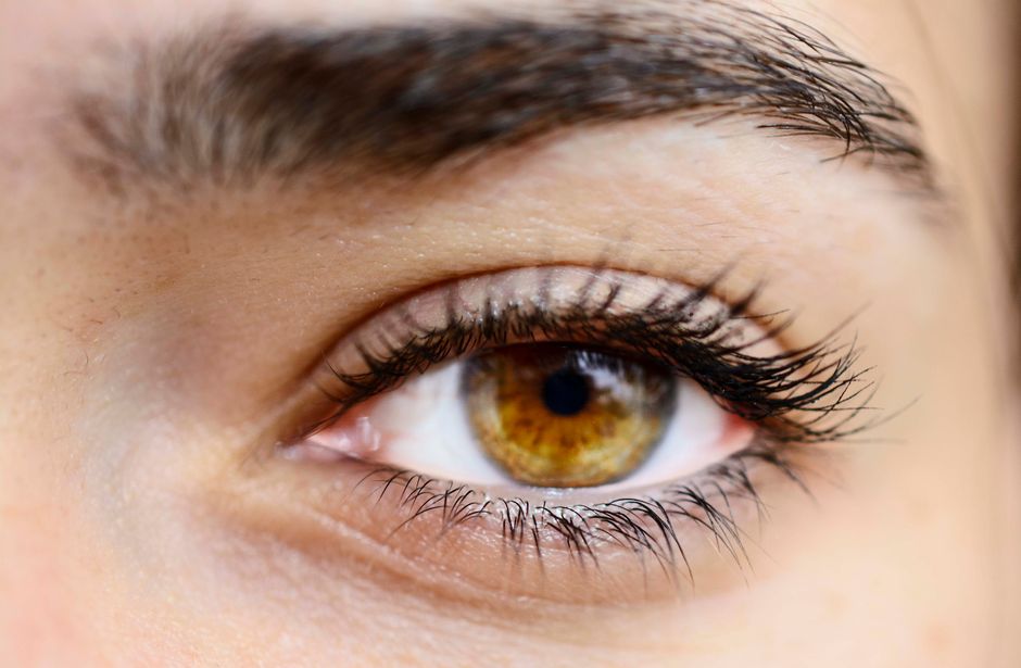 Lash Tint