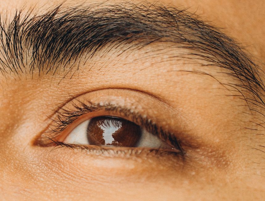 Brow Maintenance