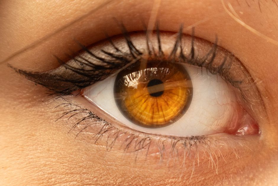 Eyelash Service service image