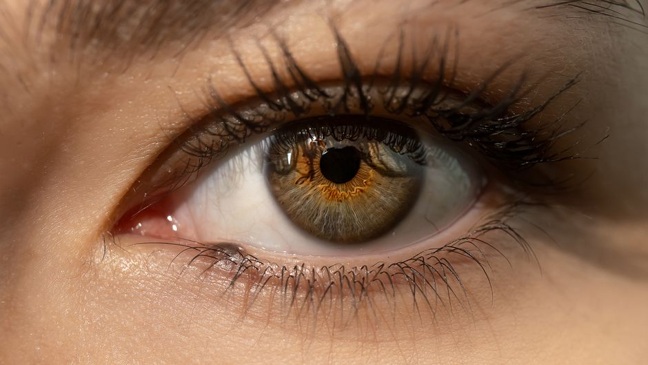 Lash Lift