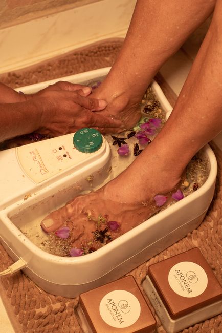 Citrus Body Scrub